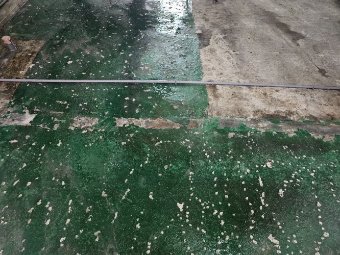 11203怡平路南昌堂整修工程